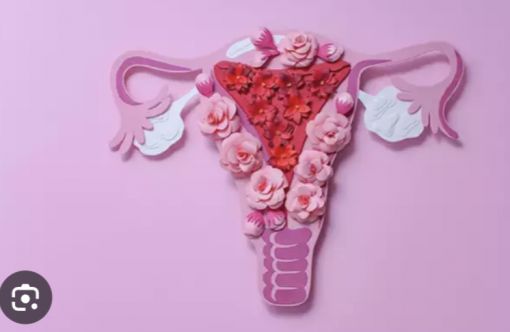 Genital Estetik
